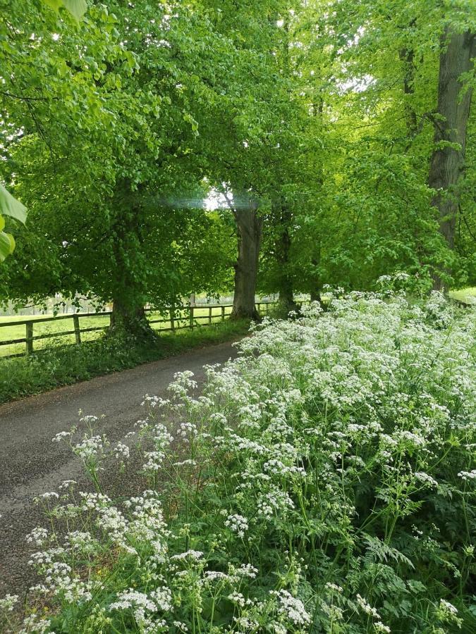 Ebrington Holly House B&B 외부 사진