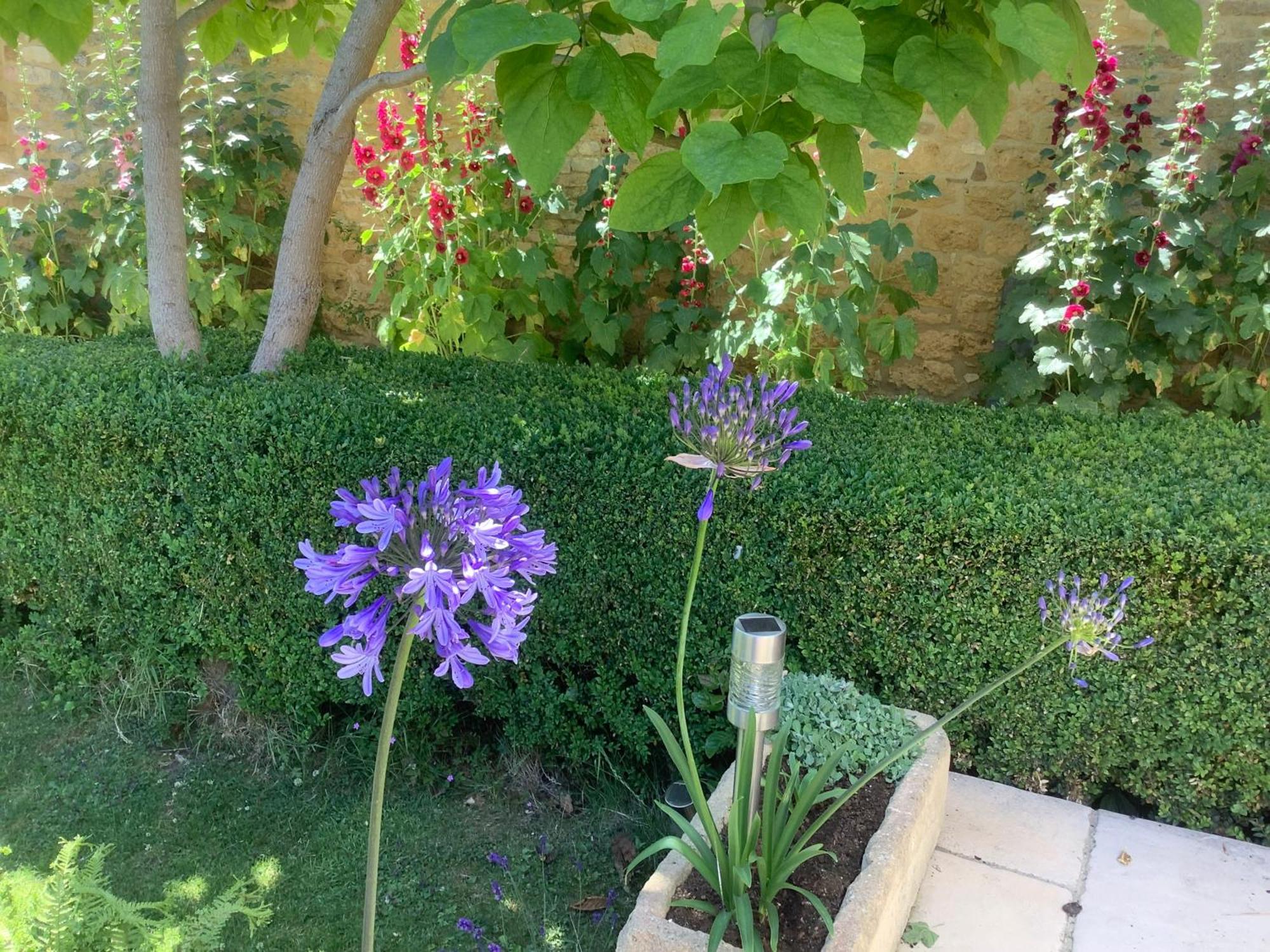 Ebrington Holly House B&B 외부 사진